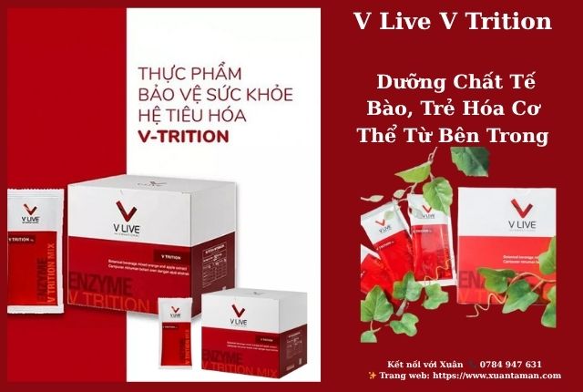 V Live V Trition – Dưỡng Chất Tế Bào, Trẻ Hóa Cơ Thể Từ Bên Trong